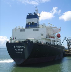 20090519145138-sandinotanquero.jpg
