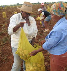 20090523155637-mujeres.jpg
